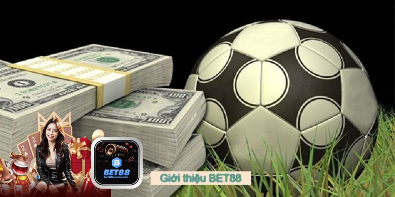 Tải App BET88 - Cá Cược Mọi Lúc Mọi Nơi Trên Di Động