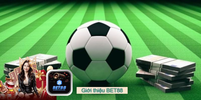 Tổng Kết và Đánh Giá